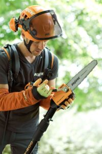 SELION Telescopic T220-300 EVO chainsaw pruner